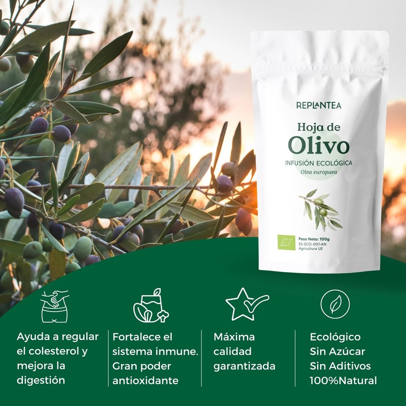 Olive Leaf Tea Organic 100g (50 Cups) | 100% Pure