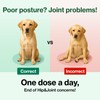 Doctor.By Hip&Joint Swift for Dogs - Advanced Joint & Cartilage