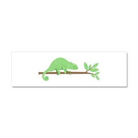 CafePress Chameleon Lizard Car Magnet 10 X 3 10" x 3", Bumper Magnet