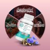 Fort Core - Ultimate Pro Probiotic Plus, 60 billones de