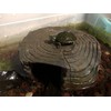 Tsnamay Circular Cave Resin Turtle Basking Platform,Tortoise Dock Resting Rock