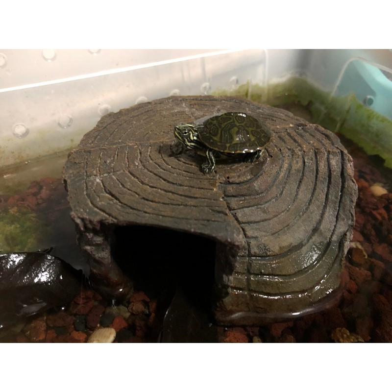 Tsnamay Circular Cave Resin Turtle Basking Platform,Tortoise Dock Resting Rock