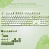 Womier Matcha Green Keycaps PBT, Jelly Keycaps 60 75 100