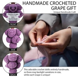 VKYN Funny Grape Crochet Emotional Support Positive, with Positive Card Unique Birthday Gifts for Women Men Funny Grapes Home Office Desk Decor