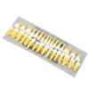 1:1 Scale Permanent Tooth Model 32pcs Dual Colors Permanent Resin
