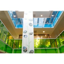 Luxe Auto Concepts Universal Cristal Color Tint Kit - Green 20" x 3 yd