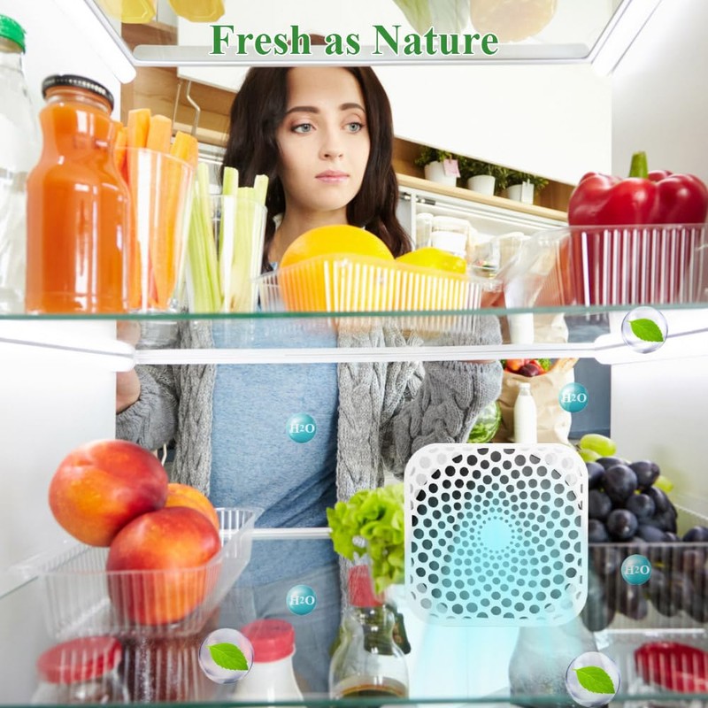Refrigerator Deodorizer Lasts for 10 Years, Odor Eliminator 99%
