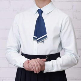 LJBFNN Ties for Women Pre-tied Adjustable Womens Tie, Strap Striped Tie for Women Uniform Necktie for School/Graduation/Work (blue)