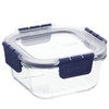 Bestco LBG214 Heat Resistant Glass Storage Container with Lid, Square