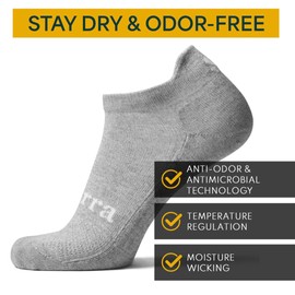 Purra Performance Adult Aeroweight Comfort No Show Socks | Wicking & Anti-Odor for Athletic and Everyday Wear, Light Gray/Dark Gray/Black, 13-16, 6 Pack