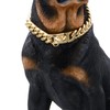BAOBOTE Gold Dog Chain Collar Walking Metal Chain Collar with