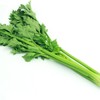 산마을 유기농 샐러리가루 50g 동결건조 Organic Celery Powder 50g Freeze-Dried