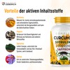 Complex Curcumin - Metabolic Support and Wellbeing with Curcumin, Spirulina