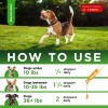 Salutempet Dog Antibiotics for Infection, Cough, & UTI | Herbal,