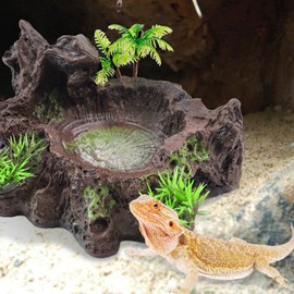 kathson Resin Reptile Bowl Bearded Dragon Food Dish Lizard Water Dish Reptiles Feeding Bowls with Feeder Tweezer for Leopard Gecko Tortoise Chameleon Water Frog Hermit Crab
