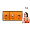 카무트 프리미엄효소90 3박스 Kamut Premium Enzyme 90 - 3 Boxes