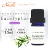 Eucalyptus Globulus, 0.3 fl oz (10 ml) e-aroma Essential Oil