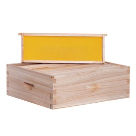 BeeCastle 10 Frame Medium Super Bee Hive Box, Langstroth Honey Bee Hive Include Beehive Frames and Waxed Foundations (Unassembled)