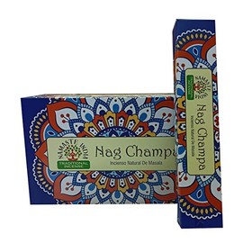 Namaste India Nag Champa Agarbatti Perfume Incense Sticks 12 Boxes 15 GM Each Incense Sticks 180g