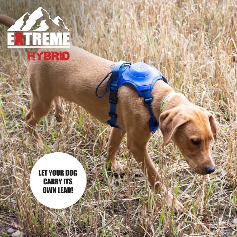 Extreme Hybrid Harness in Aqua Blue - L