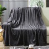 BEAUTEX Fleece Blanket Twin Size Grey Blanket Throw Super Soft