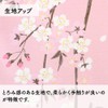 Noren Workshop 99835 99835 Nore, Japanese Style, Modern, Stylish, For