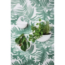 Koziol Organizer Set of 3, thermoplastic, Cotton White