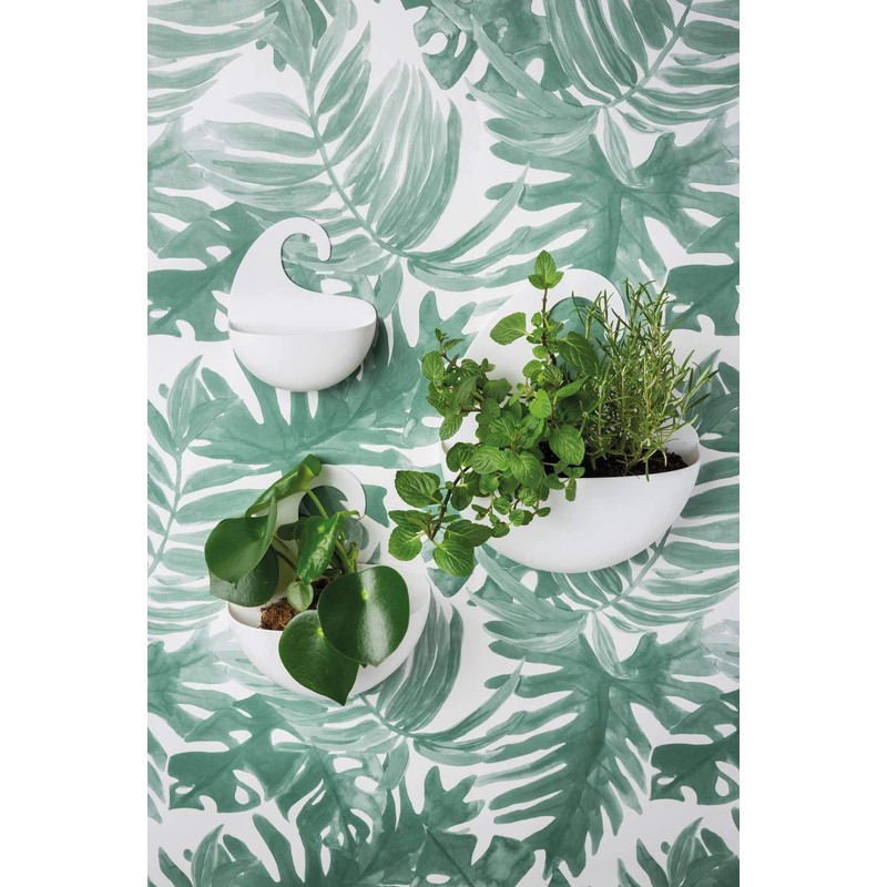 Koziol Organizer Set of 3, thermoplastic, Cotton White