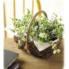 Ohashi Shinji Shop Storage Basket Willow Basket Black Willow Free