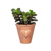 Sass & Belle Mini Terracotta Planter with Heart