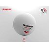 Sanwei 3 Star ABS Professional Table Tennis Balls - Pack