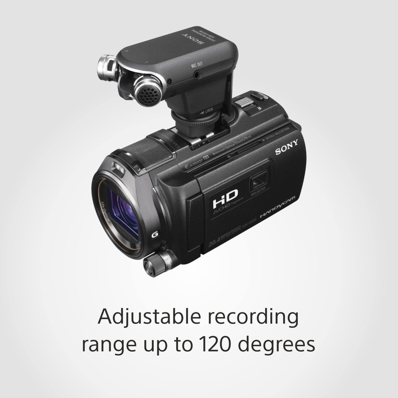 Original Sony Mainboard L06, A174 9222 A (L06)