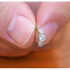 WillTen Sliver Nose Ring Diamond CZ 8MM 20G Septum Ring Women Nose Ring Hoop Stainless Steel Double Nose Rings Butterfly Heart Jewelry Piercing 6PCS