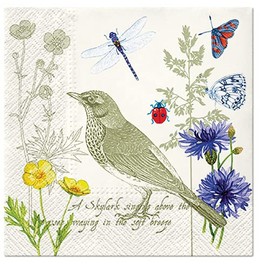 20 Napkins Summer Message Bird Animals Vintage Table Decoration 33 x 33 cm