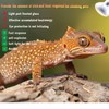 SPOTTEDSALAMANDER Reptile Heat Lamp Used in Reptiles 75W 100W Heat