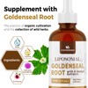 Goldenseal Root Extract 3000mg for Immune and Respiratory Wellness -