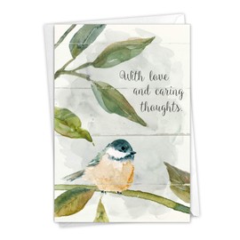 The Best Card Company - Lovely Sympathy Card with Envelope - Deepest Heartfelt Condolences, Love and Prayers - Birds of Encouragement C9144JSMG