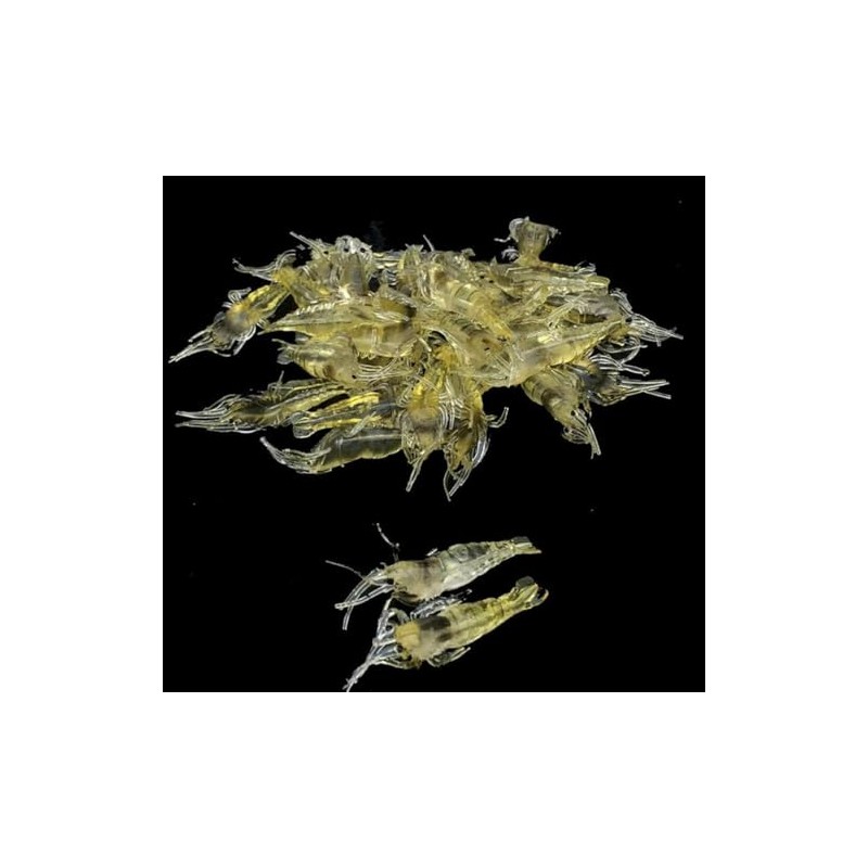 10 Pcs 4cm Simulation Fake Bait Grass Shrimp Lures Soft