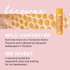 Burt's Bees Lip Balm Multipack, Chapstick Lip Balms With Honey