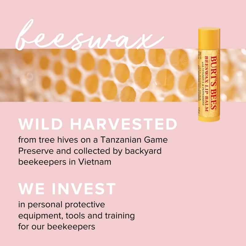 Burt's Bees Lip Balm Multipack, Chapstick Lip Balms With Honey