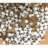 150 Nailheads ,Spots , Studs, WHITE Size 2/16" (3.5mm) with