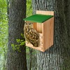 Owl House Owl Box with Bird Stand Design, Owl Nesting