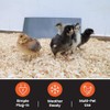 Cozy Products Cozy Coop, Chicken Coop Heater, Flat-Panel Radiant Heater