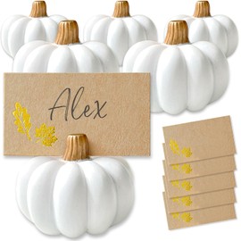 Kate Aspen - Juego de 6 soportes para tarjetas de calabaza con tallos dorados y tarjetas de papel de aluminio para decoración de mesa de otoño para Acción de Gracias, bodas y fiestas de otoño
