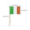 100PCS Ireland Toothpick Flag Irish Mini Small Cupcake Topper Flags