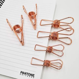 25 Pcs Metal Clothes Pegs Laundry Pegs Photos Clips Clothesline Clips Binder Clamps Rose Gold