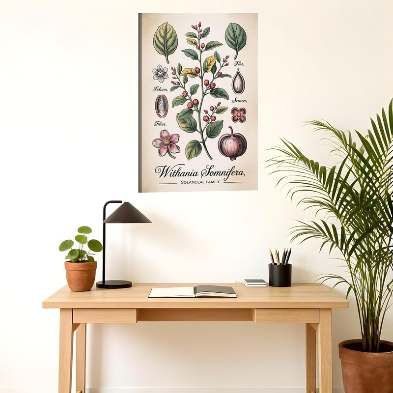 Póster botánico de Ashwagandha – Ilustración científica 30x45 cm, con