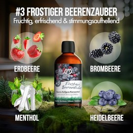 NORDHOLZ Sauna Infusion [54 Varieties 15 ml, 100 ml, 250 ml] - Sauna Infusion for Intensive and Relaxing - Sauna Accessories (#3 Frosty Berry Dream, 100 ml)