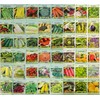 Set of 100 Valley Greene Assorted Heirloom Vegetable Seeds 100%