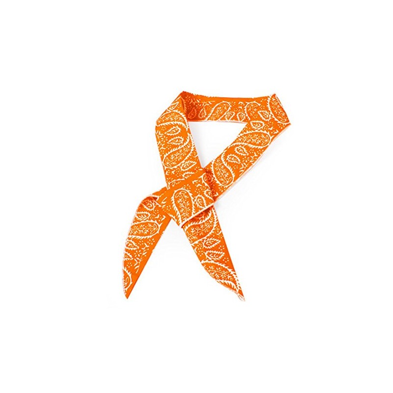 The Elixir Deco Cool Bandana Ties Neck Wrap Cooler Headband